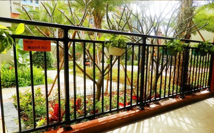 香蕉APP在线观看